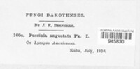 Image Associated With the Occurence